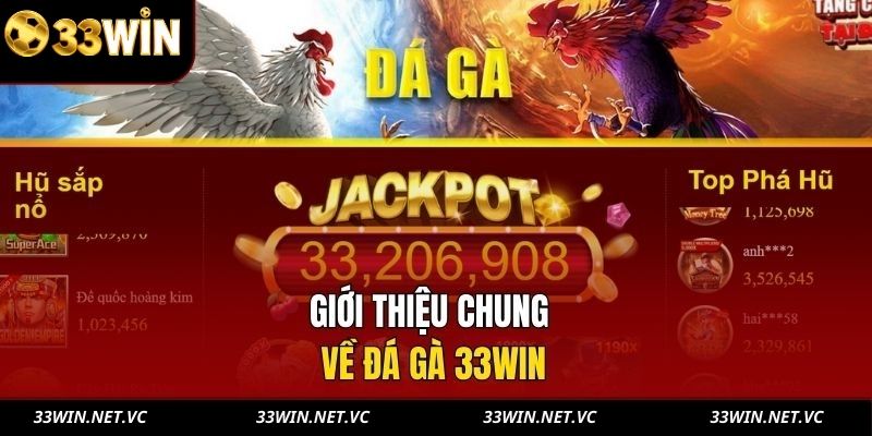 Giới thiệu chung về đá gà 33WIN 