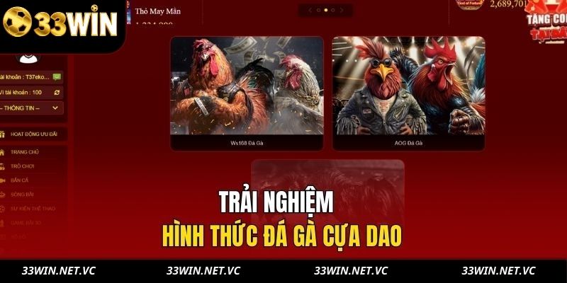 Trải nghiệm hình thức đá gà cựa dao 